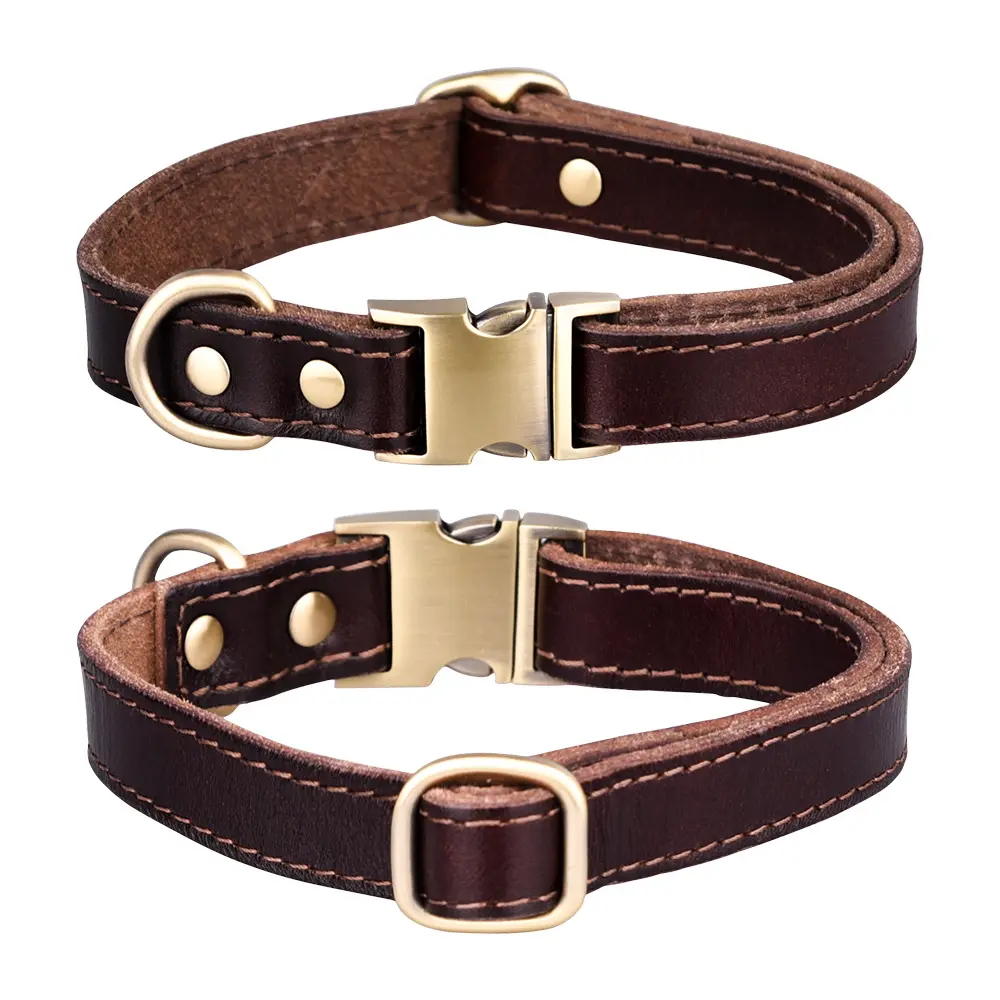 Leather Dog Collars
